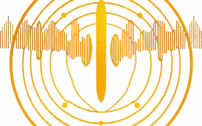 Van stress naar nieuwe kracht door de Multiwave Oscillator – het verhaal van Mark (31)