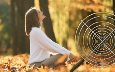 Herfst & de Multiwave – Tijd om te herstellen en te herijken